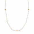 Musa Necklace